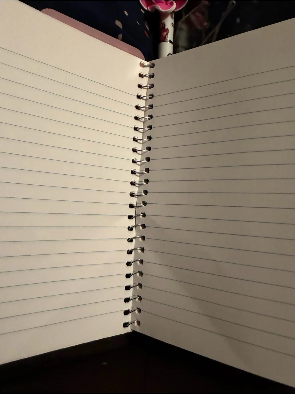 Logo Notebook, date, book pen, and pen/pencil or makeup brush holder Set
